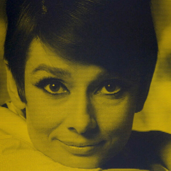 Audrey Hepburn VI