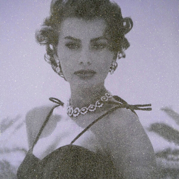 Sophia Loren-Lilac